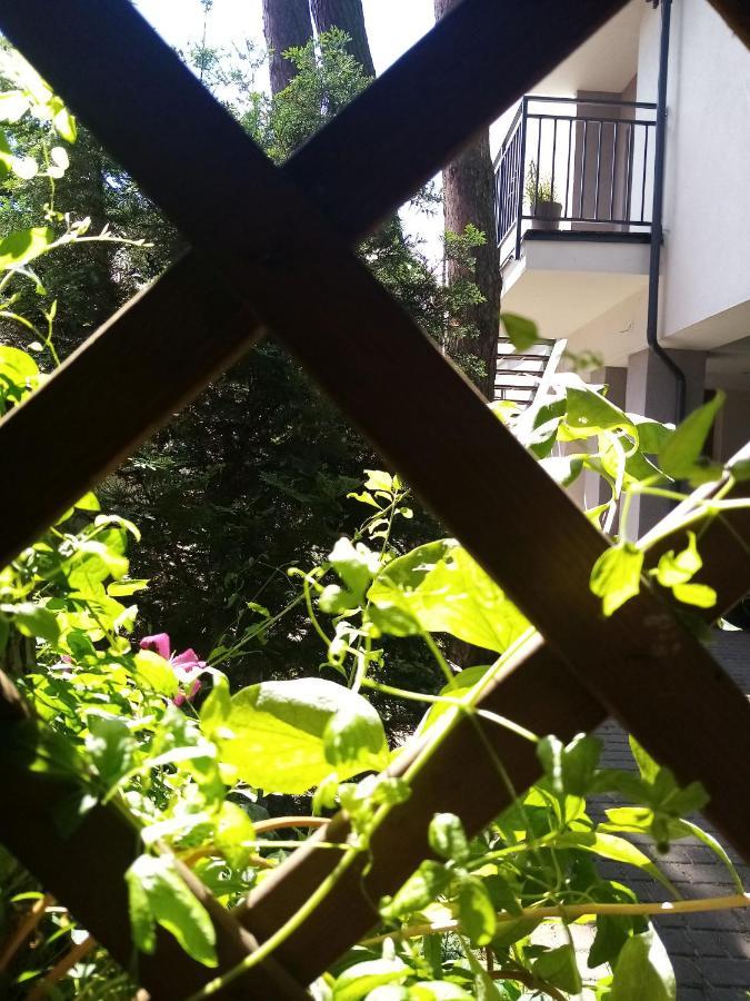 Apartament Gościnny